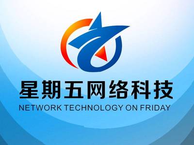 引领未来，共创数字新纪元——XX网络科技开发公司简介