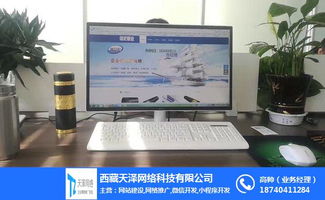 网络推广,拉萨微信程序开发,天泽网络 优质商家